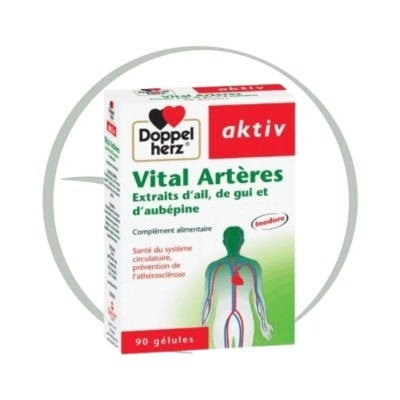 DOPPELHERZ AKTIV VITAL ARTERES 90 GELULES