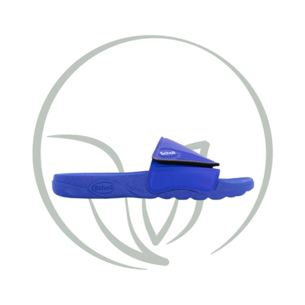 SCHOLL NAUTILUS BLEU ROYAL