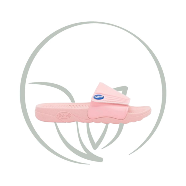 SCHOLL NAUTILUS ROSE