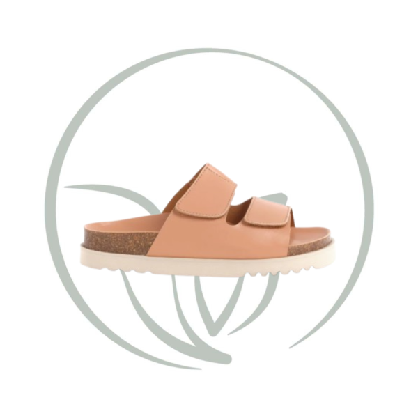 SCHOLL SIERRA ROSE CLAIR