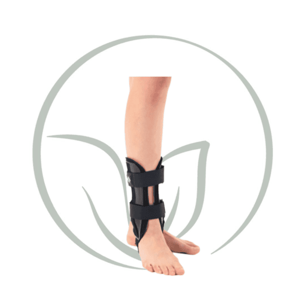 SL 08K ATTELLE BICOQUE