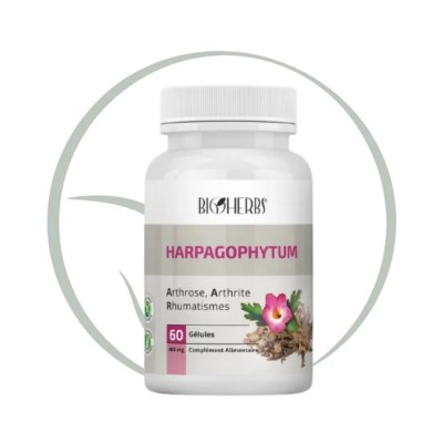 BIOHERBS HARPAGOPHYTUM 60 GÉLULES