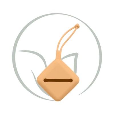 BIBS PACIFIER CASE ETUI A TETINE PUMPKIN