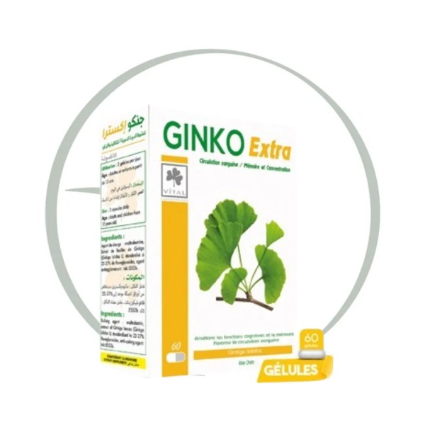 VITAL GINKO EXTRA 60 GELULES