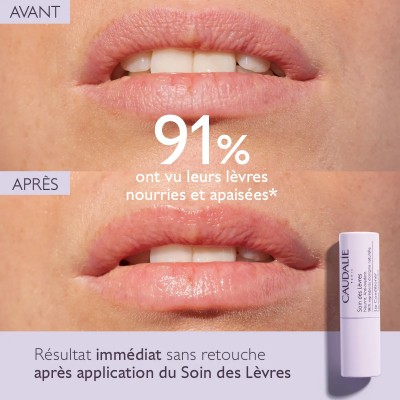 CAUDALIE VINOTHERAPIST SOIN DES LEVRES 4.5G