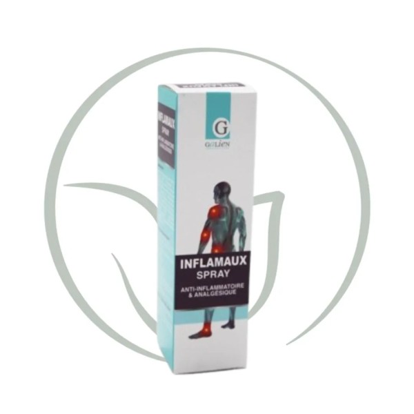 GALIEN ANTI-INFLAMATOIRE ET ANALGESIQUE SPRAY 50 ML