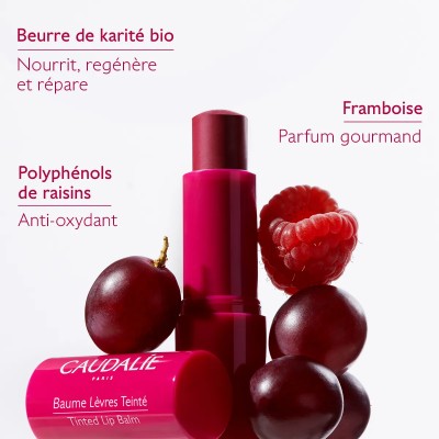 CAUDALIE VINOTHERAPIST BAUME LEVRES TEINTE 4,5G
