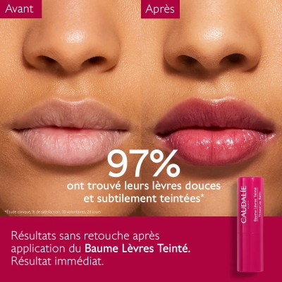 CAUDALIE VINOTHERAPIST BAUME LEVRES TEINTE 4,5G