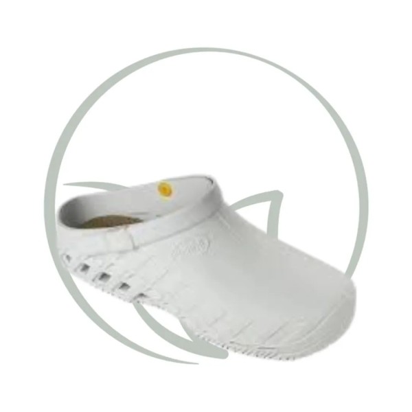 SCHOLL CLOG EVO