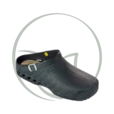 SCHOLL CLOG EVO