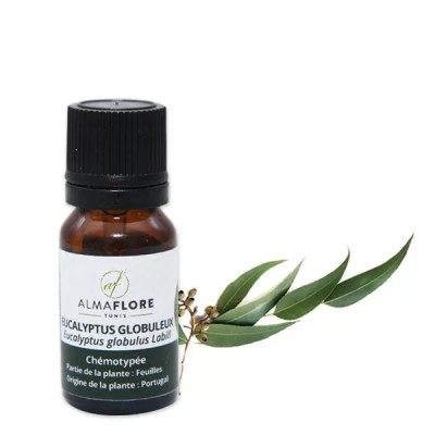 ALMAFLORE HUILE ESSENTIELLE D' EUCALYPTUS GLOBULUS 10ML